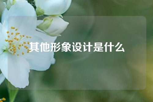 其他形象设计是什么