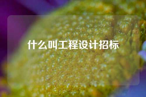 什么叫工程设计招标