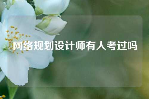 网络规划设计师有人考过吗