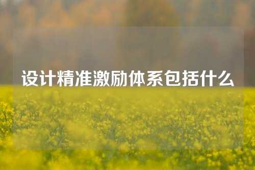 设计精准激励体系包括什么