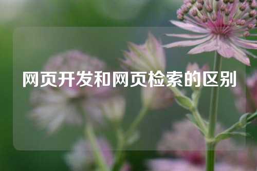 网页开发和网页检索的区别