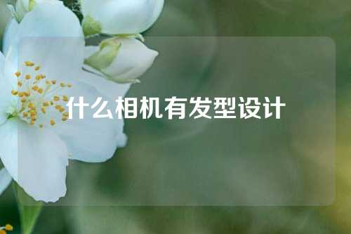 什么相机有发型设计