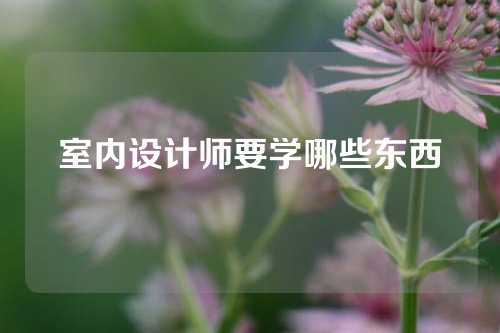 室内设计师要学哪些东西