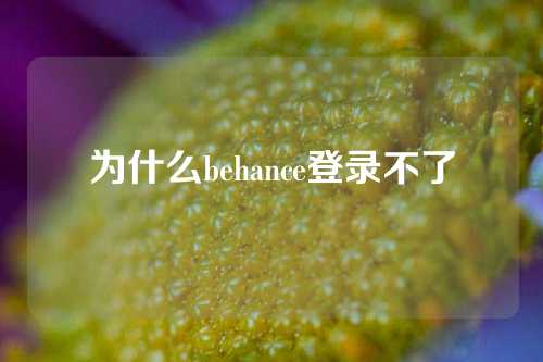 为什么behance登录不了