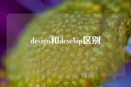 design和develop区别