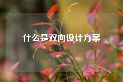 什么是双向设计方案