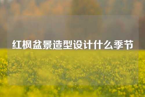 红枫盆景造型设计什么季节