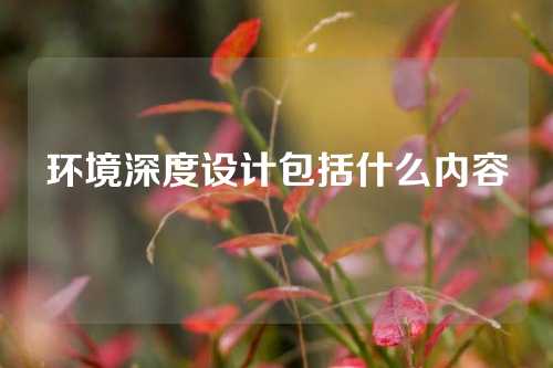 环境深度设计包括什么内容