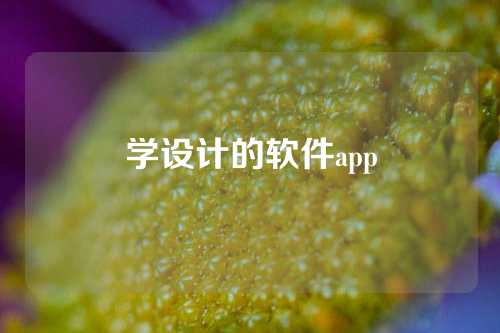 学设计的软件app