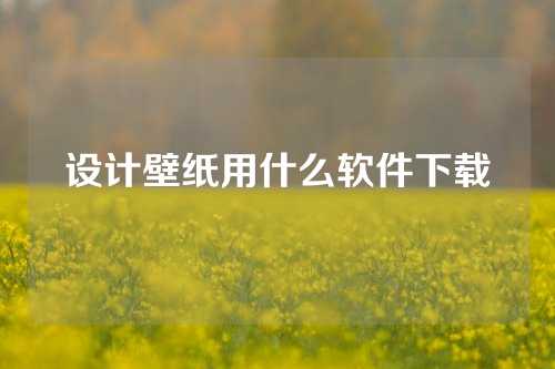 设计壁纸用什么软件下载