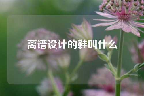 离谱设计的鞋叫什么