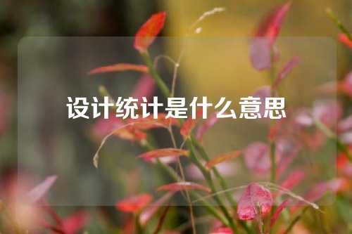 设计统计是什么意思