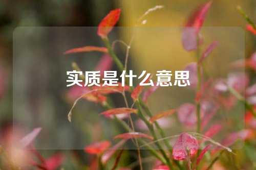 实质是什么意思