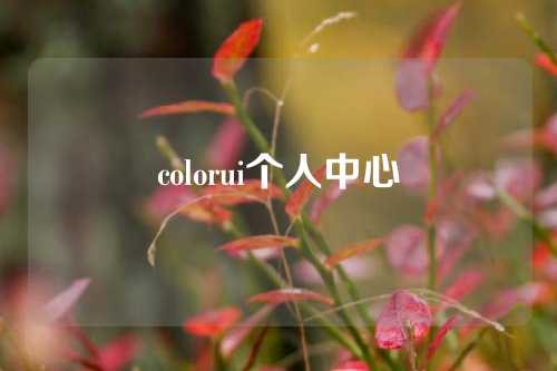 colorui个人中心