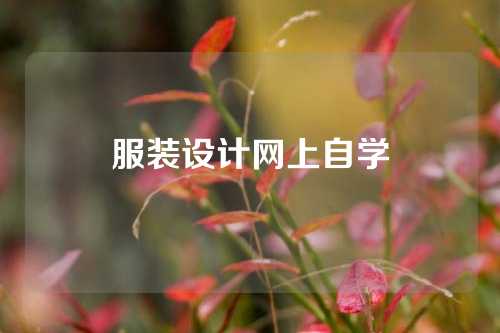 服装设计网上自学