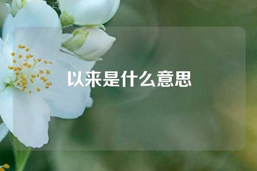 以来是什么意思