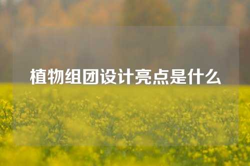 植物组团设计亮点是什么