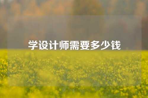 学设计师需要多少钱