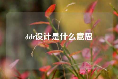 ddr设计是什么意思