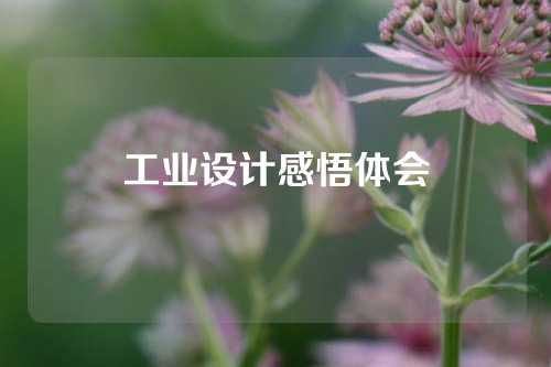 工业设计感悟体会