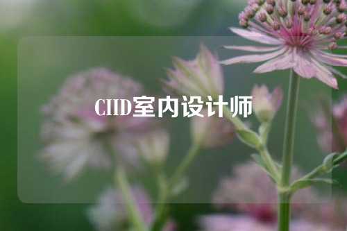 CIID室内设计师