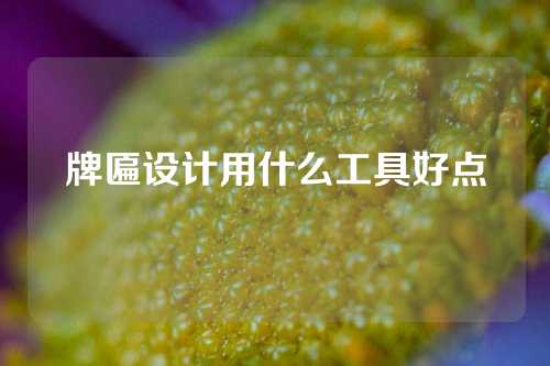 牌匾设计用什么工具好点