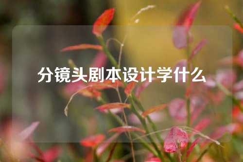 分镜头剧本设计学什么