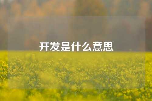 开发是什么意思