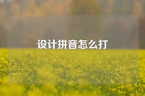 设计拼音怎么打