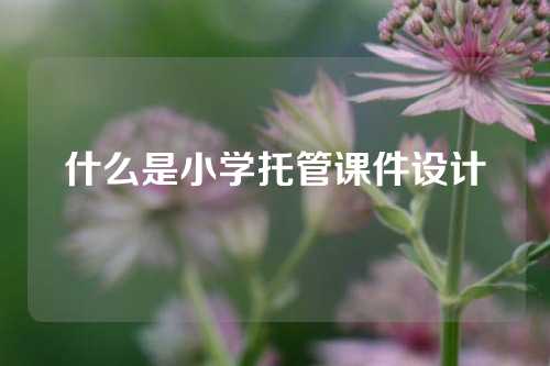 什么是小学托管课件设计