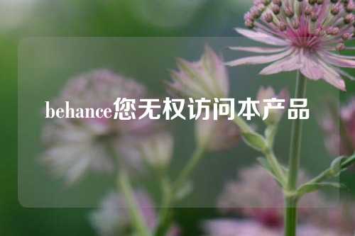 behance您无权访问本产品