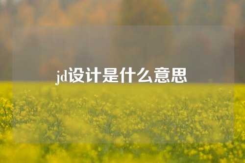 jd设计是什么意思