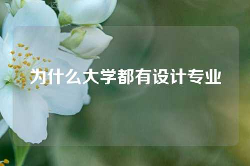 为什么大学都有设计专业