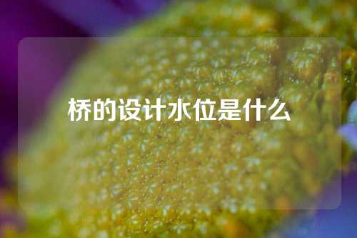 桥的设计水位是什么