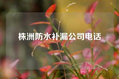 株洲防水补漏公司电话