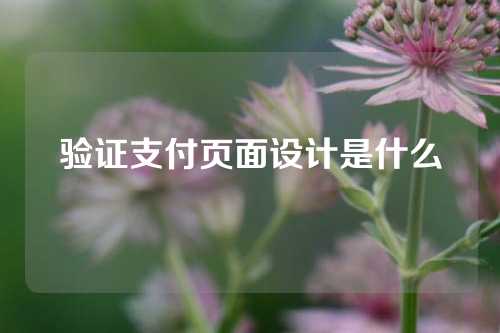 验证支付页面设计是什么