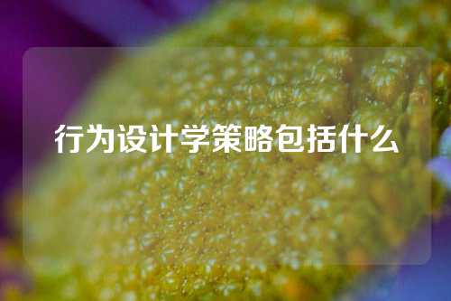 行为设计学策略包括什么