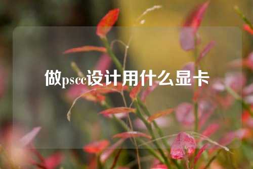 做pscc设计用什么显卡