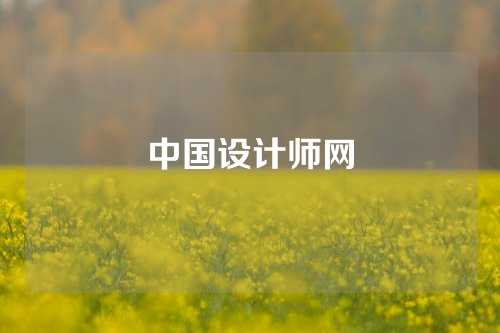 中国设计师网