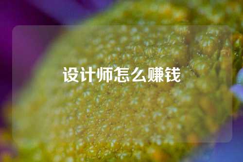 设计师怎么赚钱