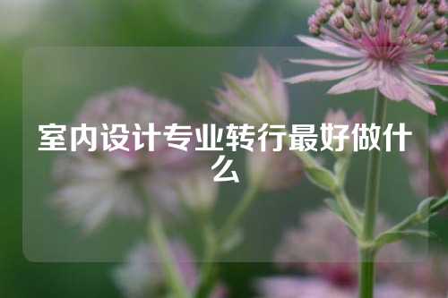 室内设计专业转行最好做什么