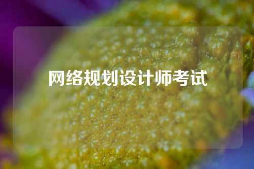 网络规划设计师考试