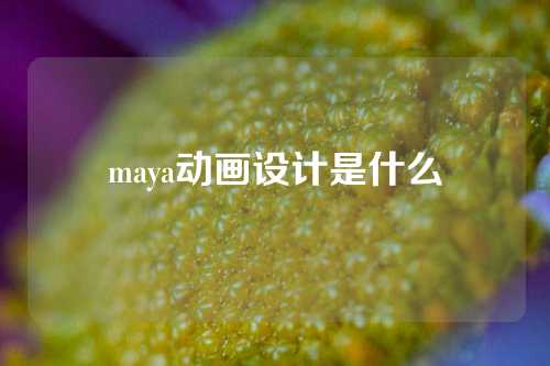 maya动画设计是什么