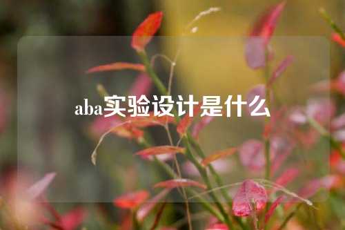 aba实验设计是什么