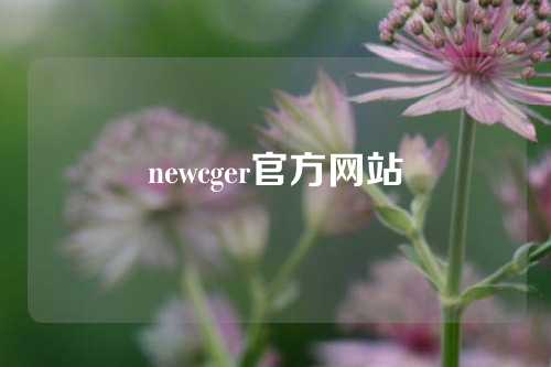 newcger官方网站