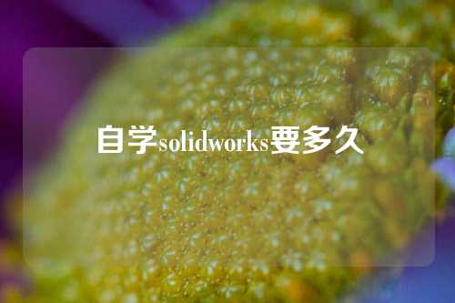 自学solidworks要多久