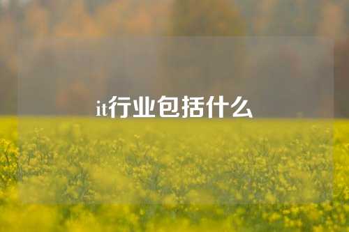 it行业包括什么