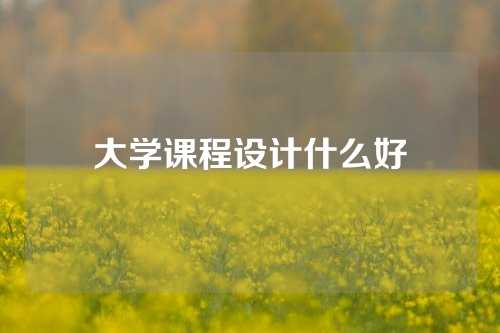 大学课程设计什么好