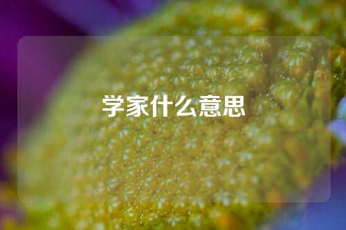 学家什么意思