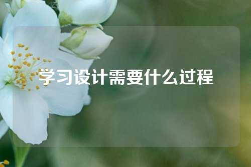 学习设计需要什么过程